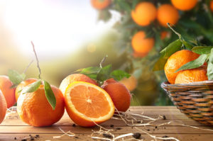Egypt Leads the Orange Export Industry 2 Years in a Row