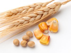 Corn, Wheat, and Soybean