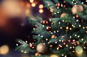 Christmas Tree close up