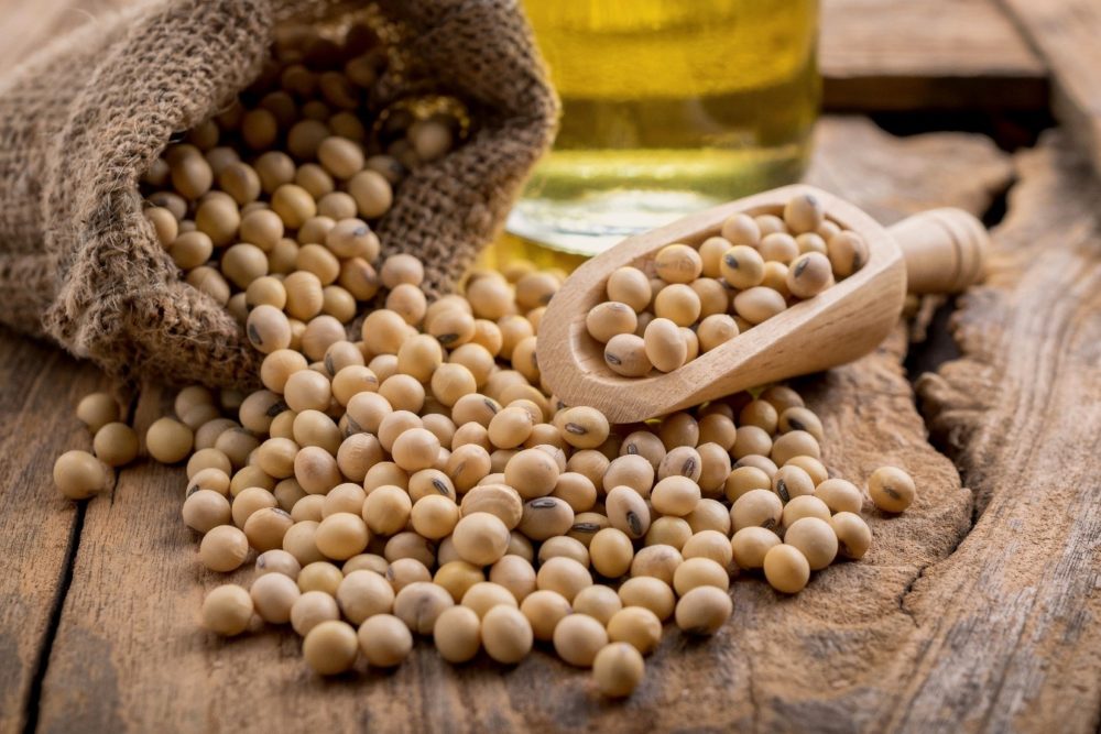 Soybean Rose amid Robust Chinese Demand Expectation